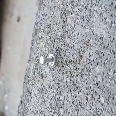 熱帯 熱帯 熱帯 熱帯 熱帯 熱帯